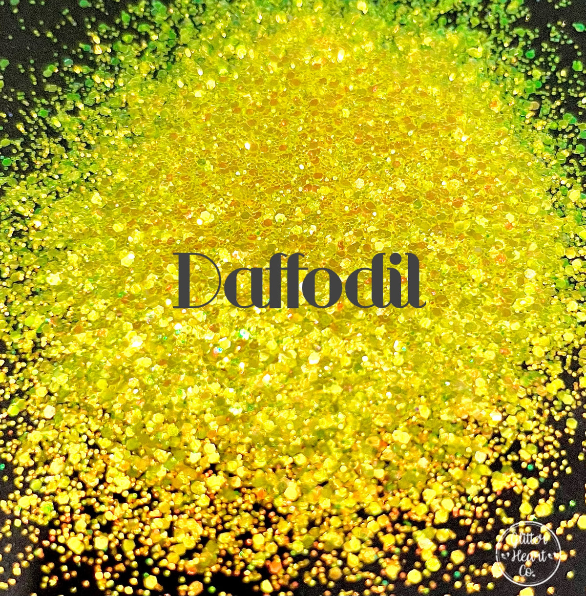 Daffodil