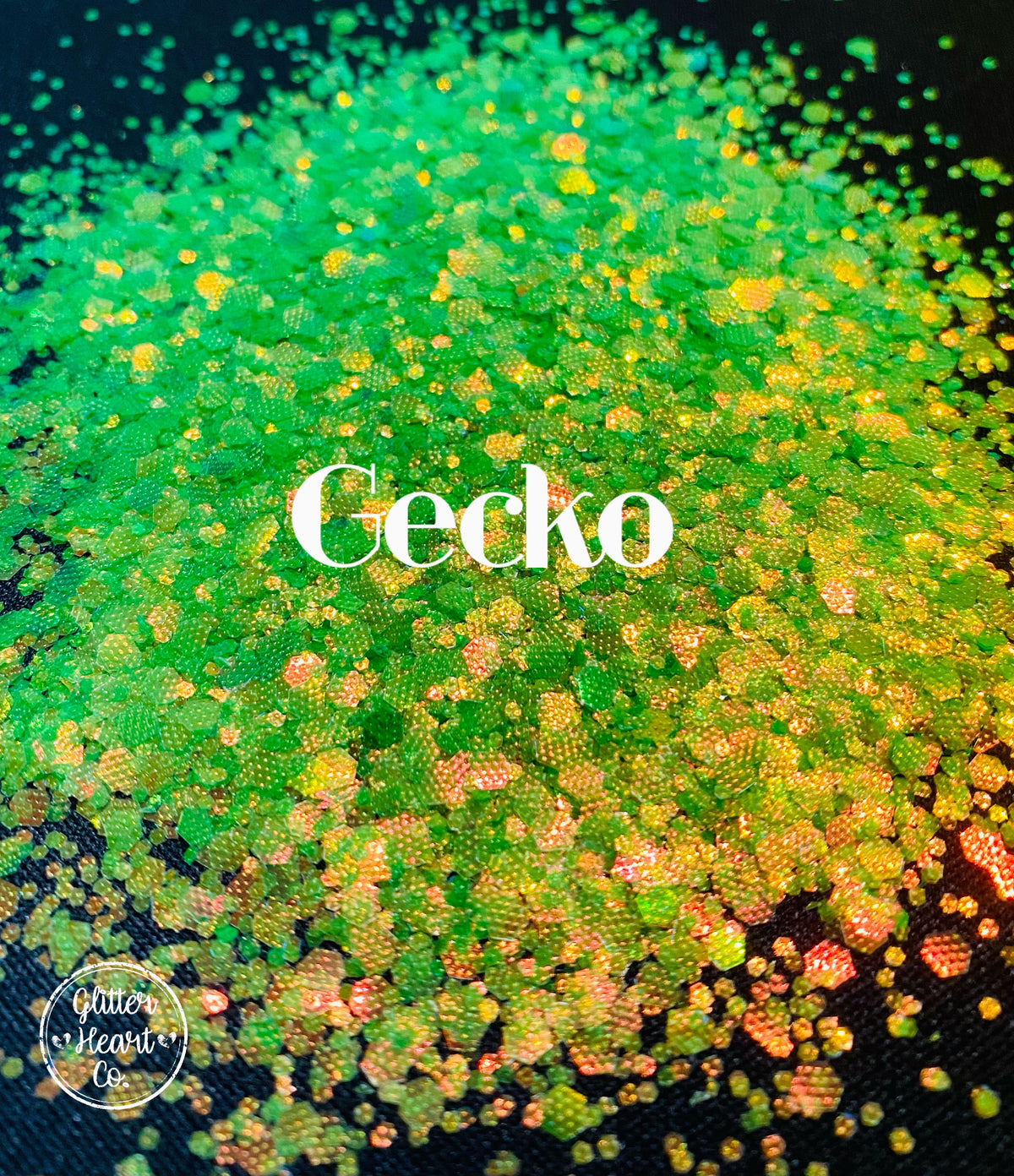 Gecko