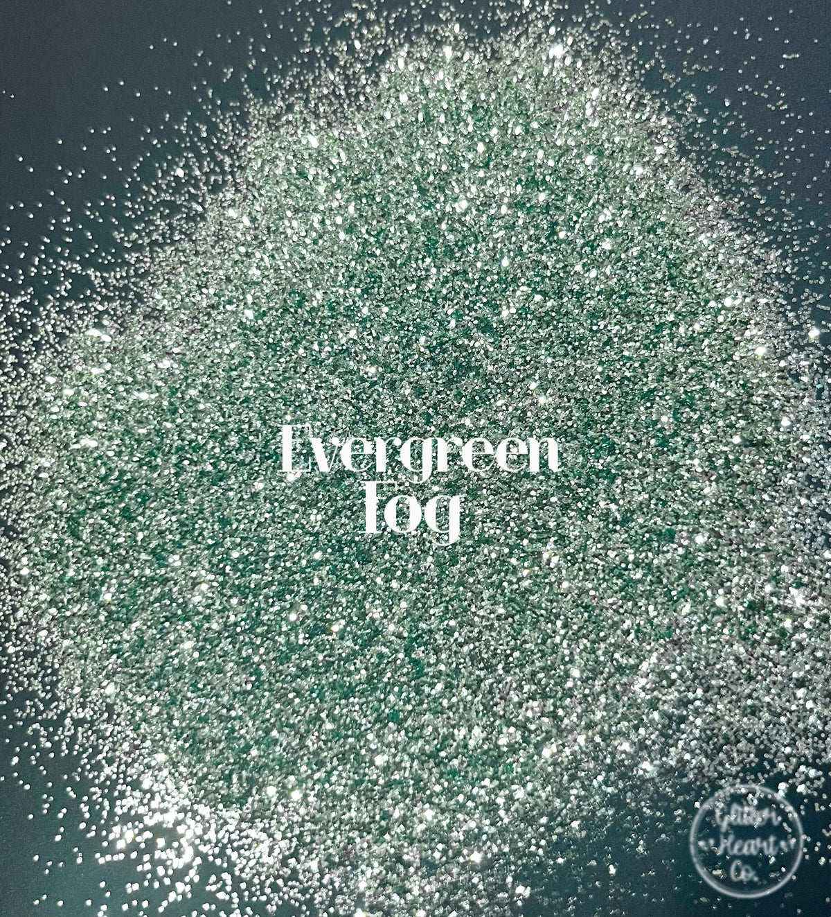Evergreen Fog