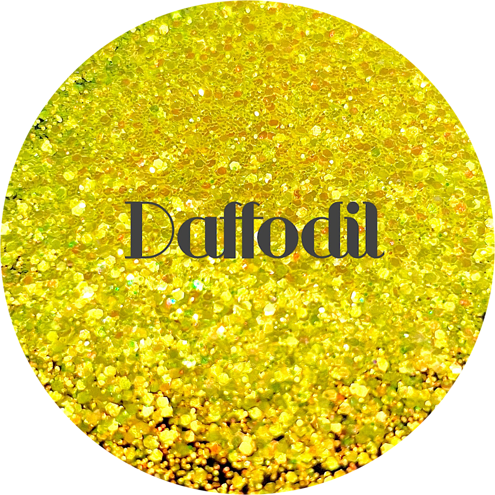 Daffodil - 1 Pound