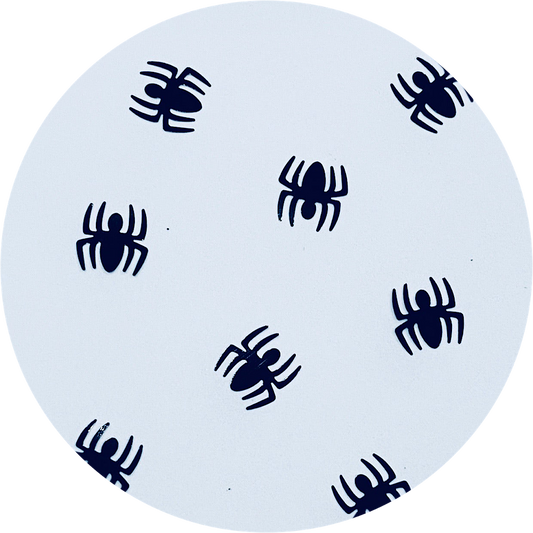 Spiders