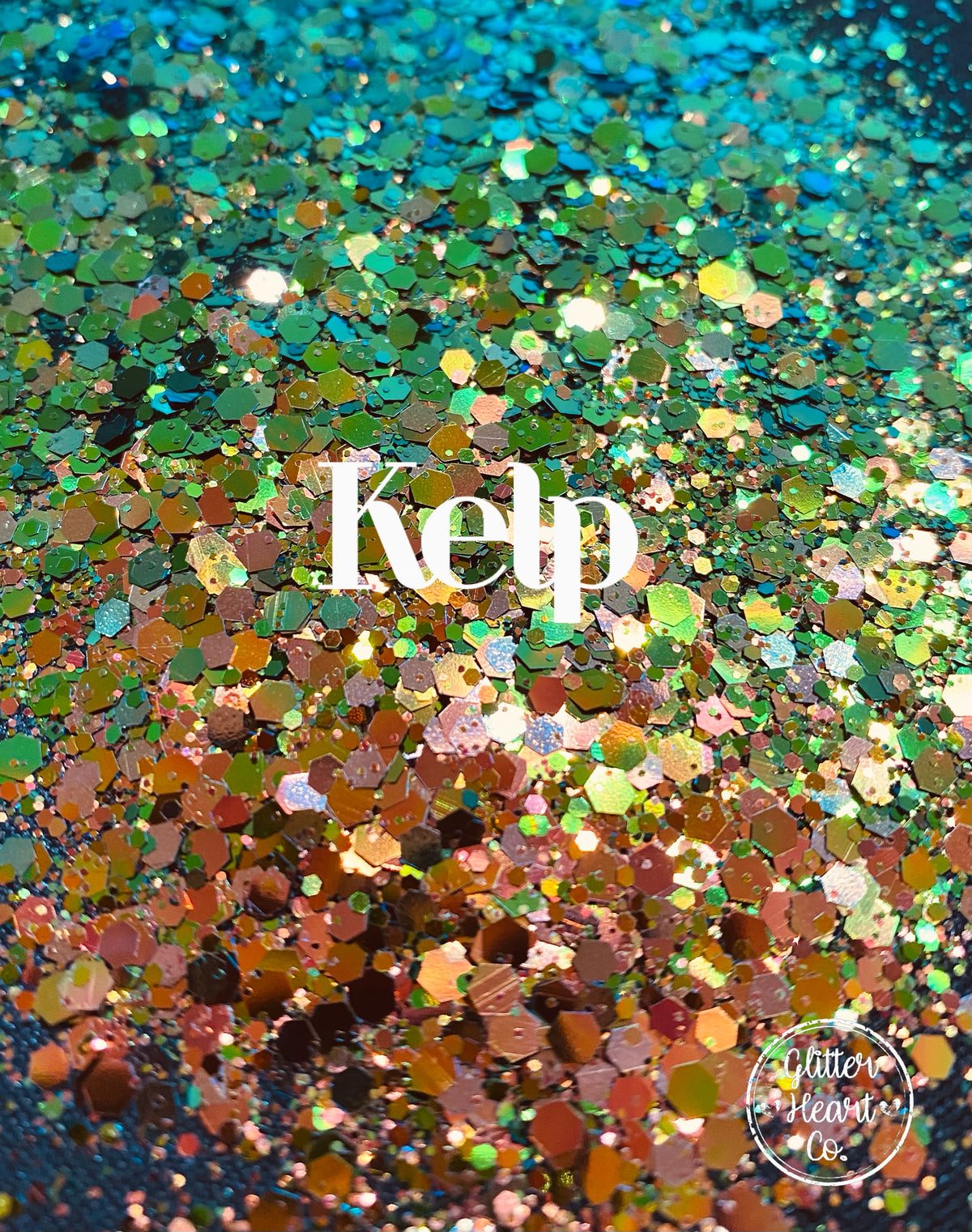 Kelp