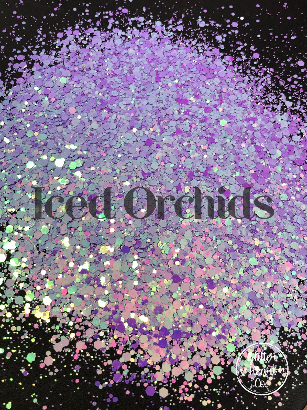 Iced Orchids