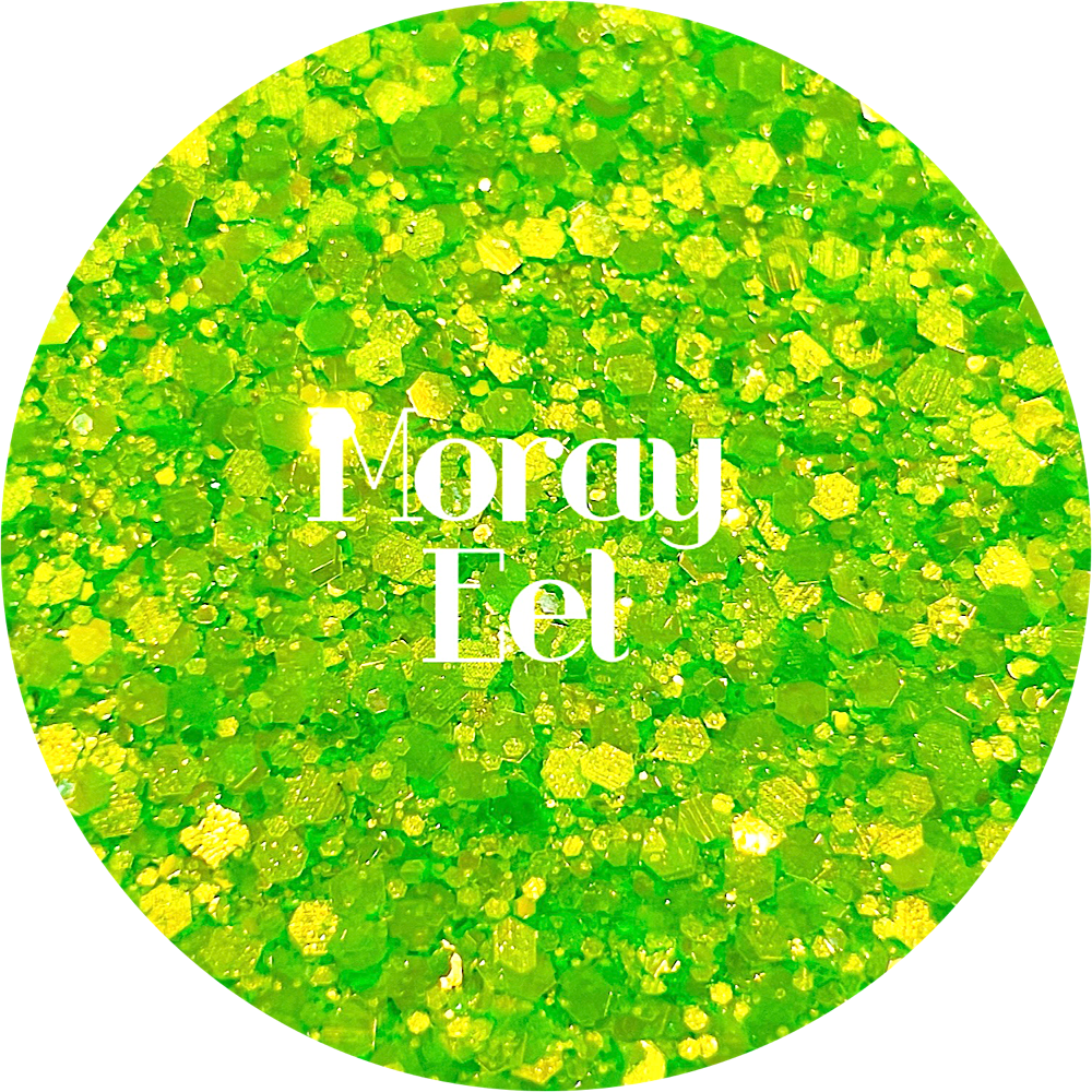 Moray Eel
