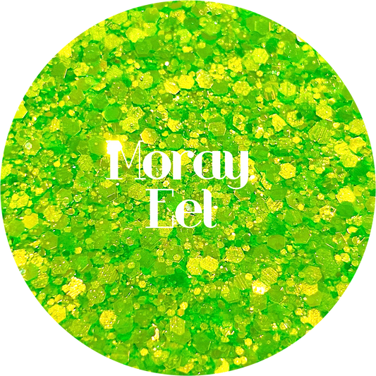 Moray Eel