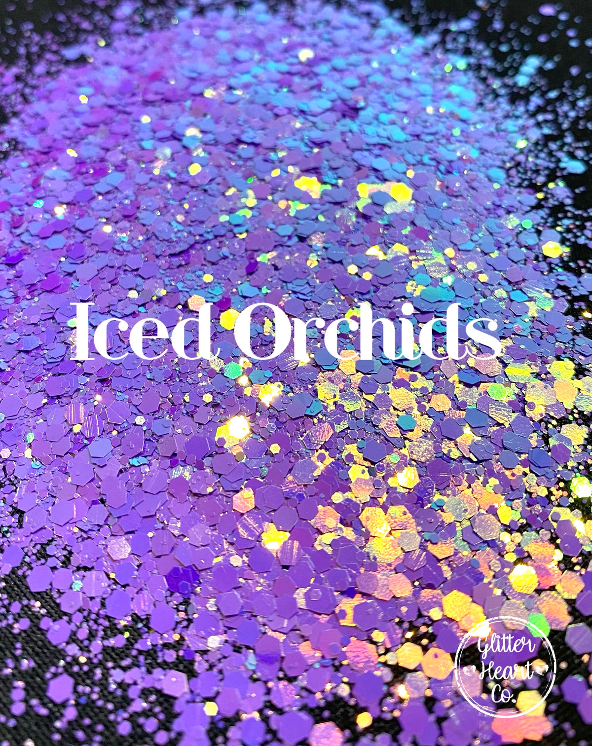 Iced Orchids
