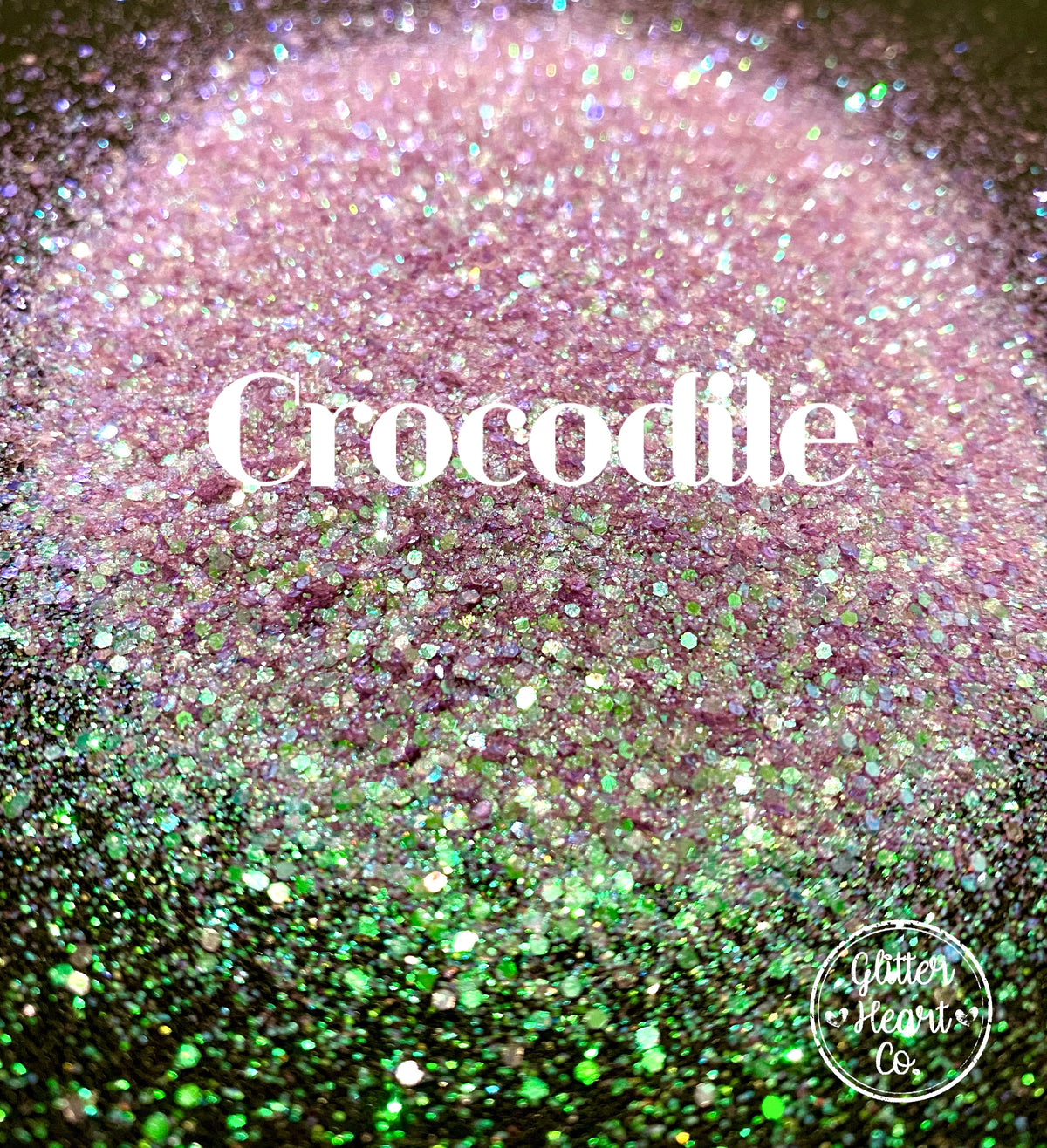Crocodile