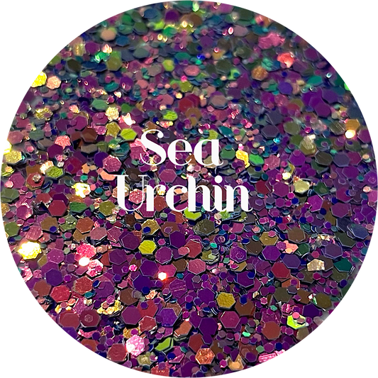 Sea Urchin