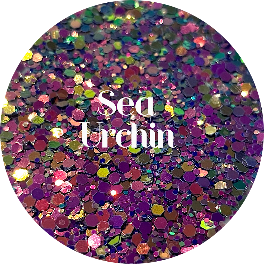 Sea Urchin – Glitter Heart Co.