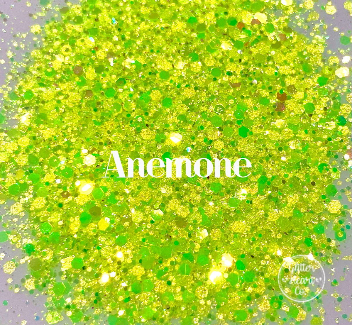 Anemone